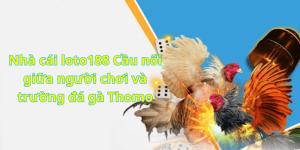 Nhà cái loto188 Cầu nối giữa người chơi và trường đá gà Thomo