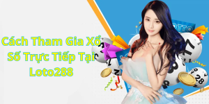 Cách Tham Gia Xổ Số Trực Tiếp Tại Loto288