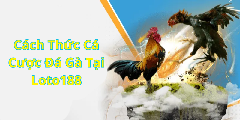 Cách Thức Cá Cược Đá Gà Tại Loto188