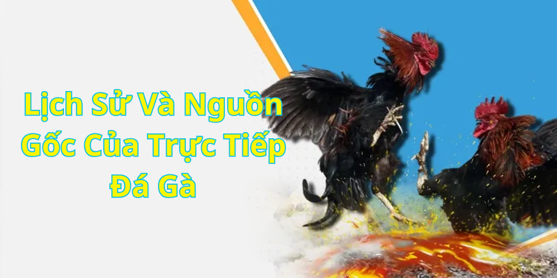 Lịch Sử Và Nguồn Gốc Của Trực Tiếp Đá Gà