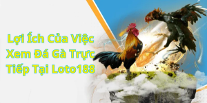 Lợi Ích Của Việc Xem Đá Gà Trực Tiếp Tại Loto188