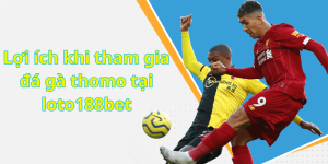 Lợi ích khi tham gia đá gà thomo tại loto188bet