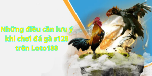 Những điều cần lưu ý khi chơi đá gà s128 trên Loto188