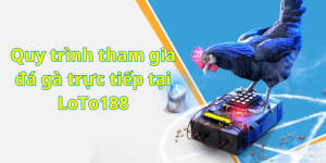 Quy trình tham gia đá gà trực tiếp tại LoTo188