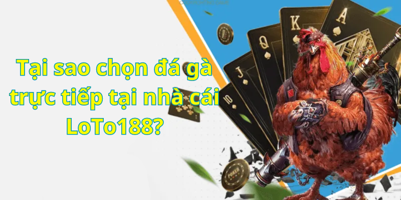 Tại sao chọn đá gà trực tiếp tại nhà cái LoTo188?