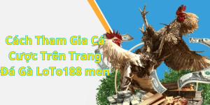 Những Ưu Điểm Nổi Bật Khi Tham Gia Đá Gà Tại LoTo188 men