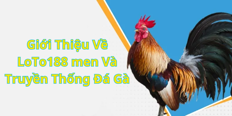 Giới Thiệu Về LoTo188 men Và Truyền Thống Đá Gà