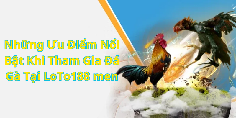 Những Ưu Điểm Nổi Bật Khi Tham Gia Đá Gà Tại LoTo188 men