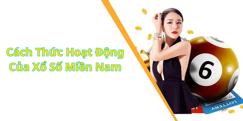 Cách Thức Hoạt Động Của Xổ Số Miền Nam