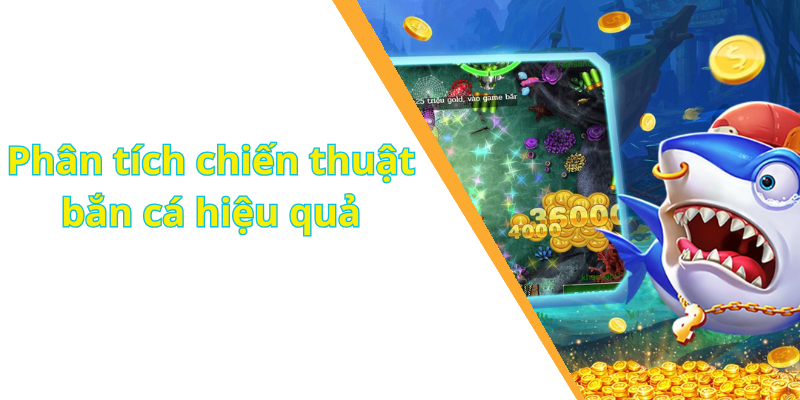 Phân tích chiến thuật bắn cá hiệu quả